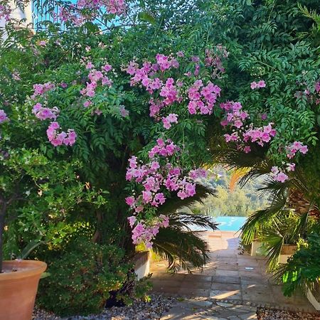 Cortijo La Haza Bed & Breakfast Iznájar Dış mekan fotoğraf