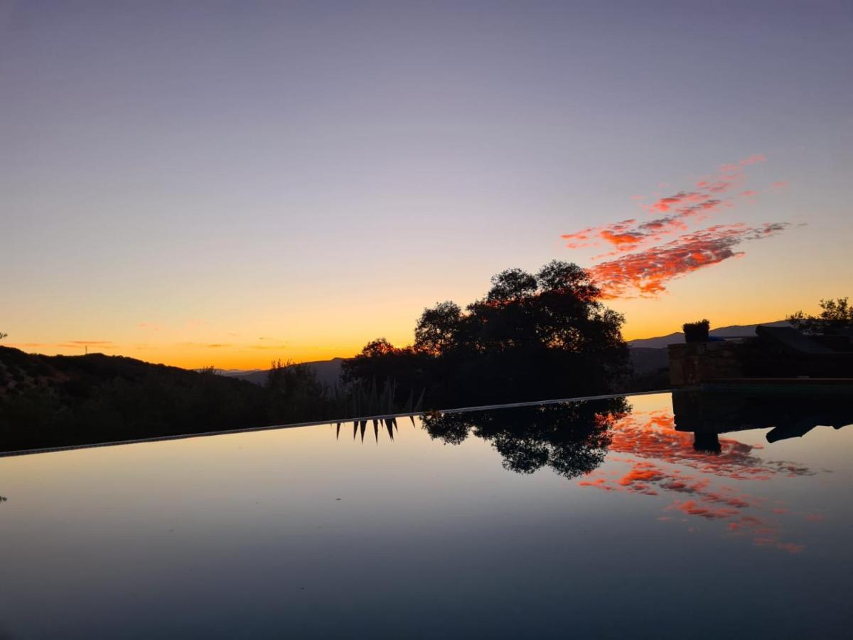 Cortijo La Haza Bed & Breakfast Iznájar Dış mekan fotoğraf
