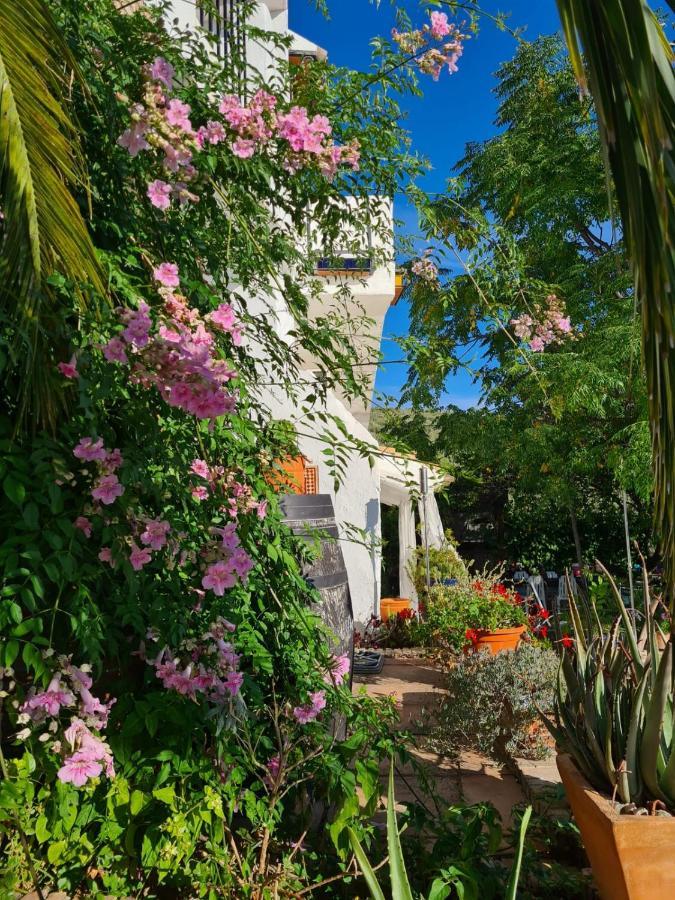Cortijo La Haza Bed & Breakfast Iznájar Dış mekan fotoğraf