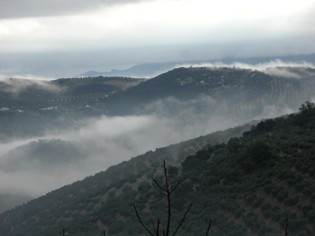 Cortijo La Haza Bed & Breakfast Iznájar Dış mekan fotoğraf