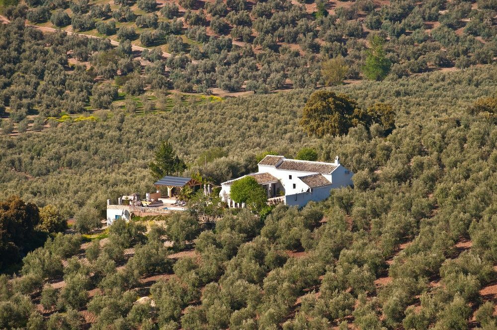 Cortijo La Haza Bed & Breakfast Iznájar Dış mekan fotoğraf